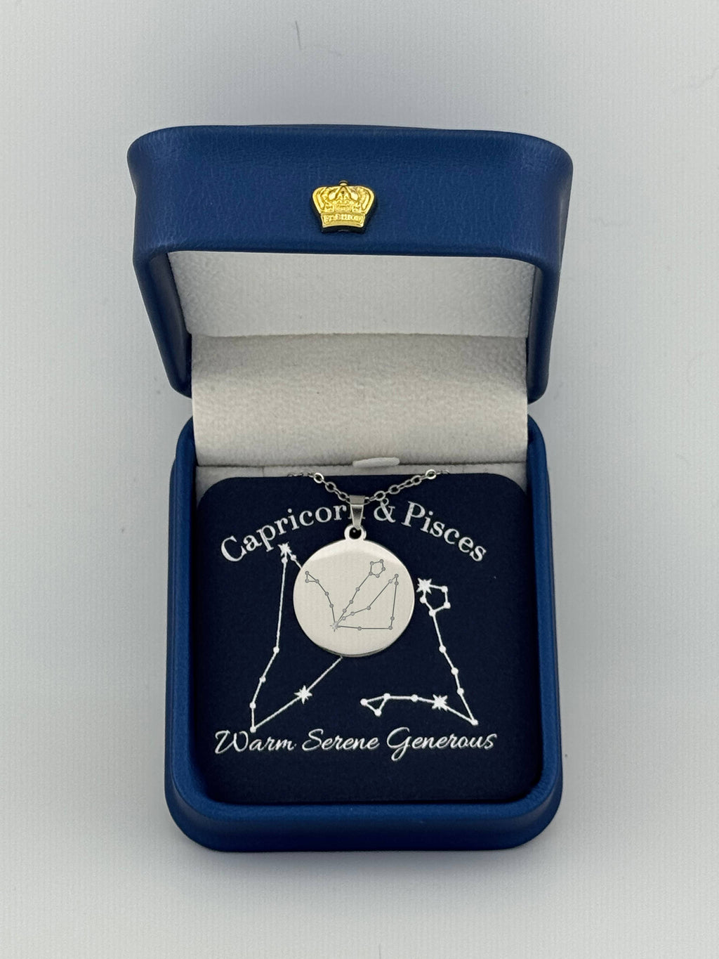  Silver Capricorn and Pisces constellation medallion necklace in gift box with silver foil zodiac card
